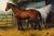 Realism Equestrian Horse Oil Painting Edwin Frederick Holt, Hammer to $47,000 For Sale - Image 3 of 10