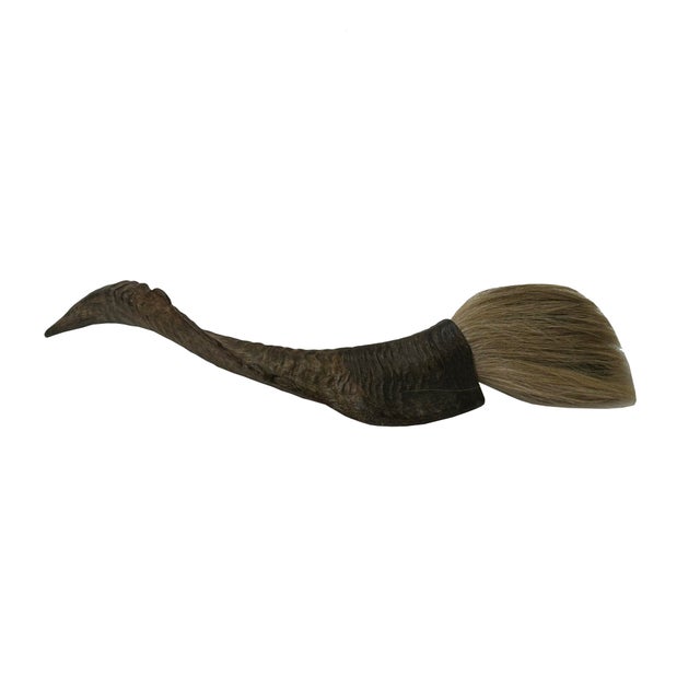 Rustic 15" Rustic Natural Artistic Horn Shape Brush Accent Display For Sale - Image 3 of 7