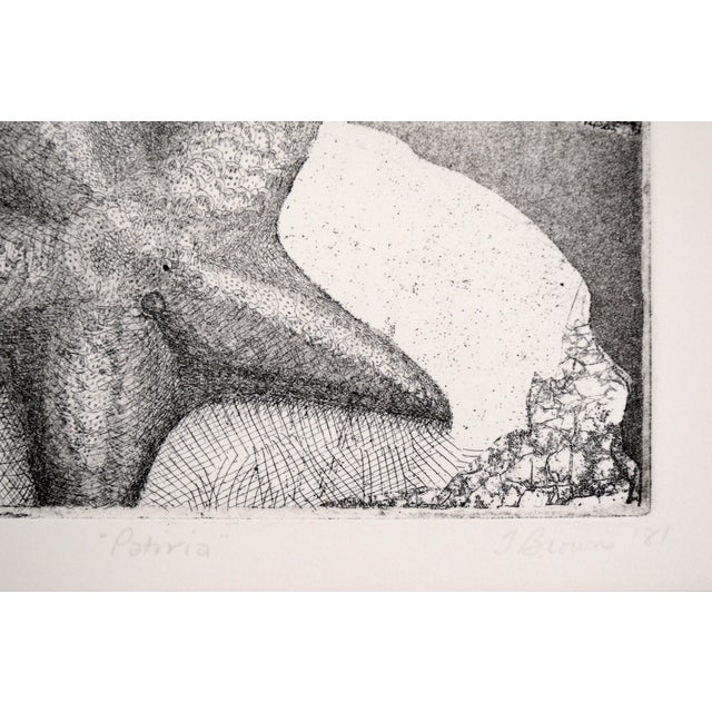Gray Starfish Etching in Ink on Paper (#8/16) by J Brown For Sale - Image 8 of 10
