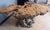 New Multi-Color Burlwood Handcrafted Table. Beautiful sculptural burlwood table made from a single natural burl slab with...