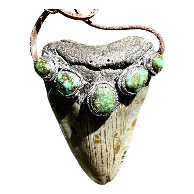 Roie Jaque Navajo Sterling Silver Turquoise Megalodon Tooth Pendant Necklace For Sale