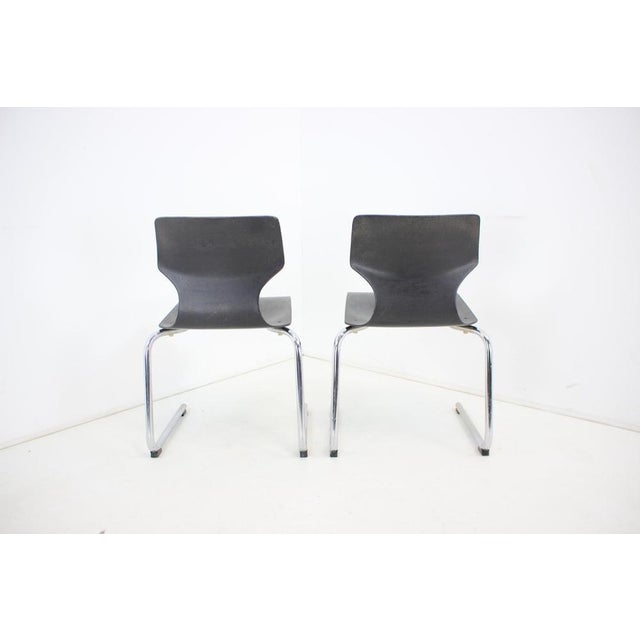 Set of Mid-Century Pagwood Chairs attributed to Flototto for Flötotto, 1980 For Sale - Image 11 of 17