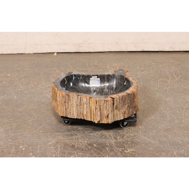 A single petrified wood wash basin. This petrified wood sink has a polished finish basin, making for easy clean-up,...