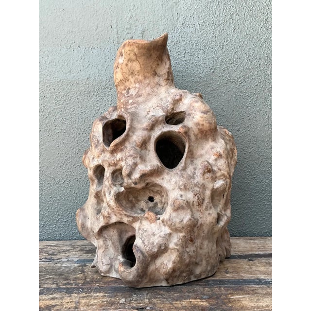 Vintage Organic Wood Knot Sculpture For Sale In West Palm - Image 6 of 12