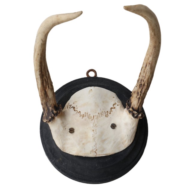 Add a touch of timeless charm to your space with this Antique Black Forest Roe Deer Mount, a captivating piece of...