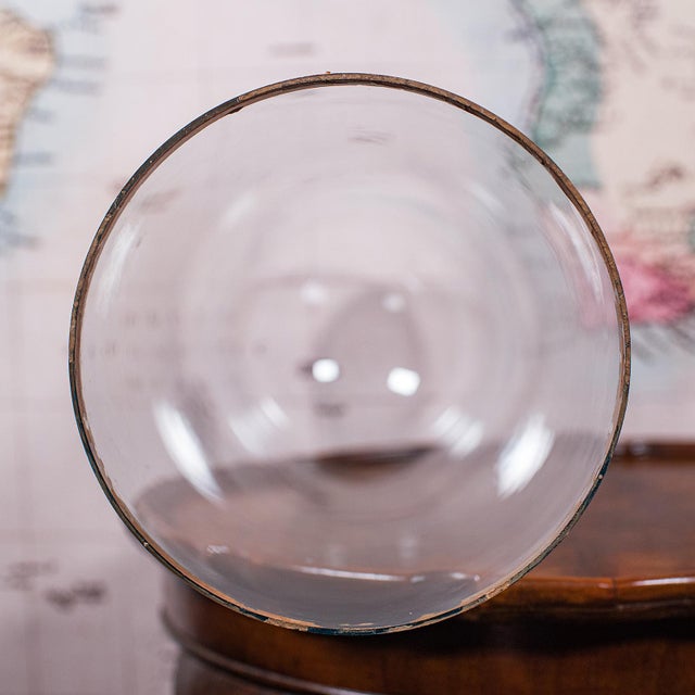 Wood Tall Antique Display Dome, English, Glass, Taxidermy Showcase, Edwardian, c.1905 For Sale - Image 7 of 9