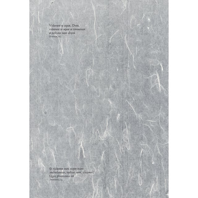 1960s 1968 Salvador Dalí Biblia Sacra Lithograph "Iesus Super Mare Ambulans" (Jesus Walks on Water) For Sale - Image 5 of 11