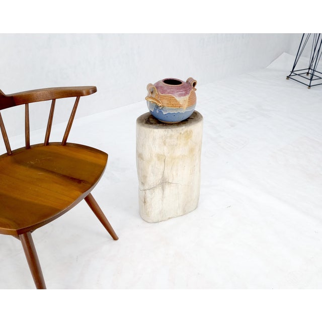 Beige Large Beige Petrified Wood Organic Stomp Shape Stand End Side Table Pedestal For Sale - Image 8 of 9