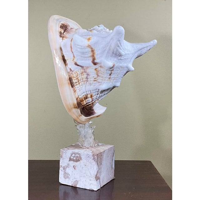 Mid-Century Modern Sea Shell and Quartz Crystal Sculpture by Joseph Malekan For Sale - Image 3 of 13