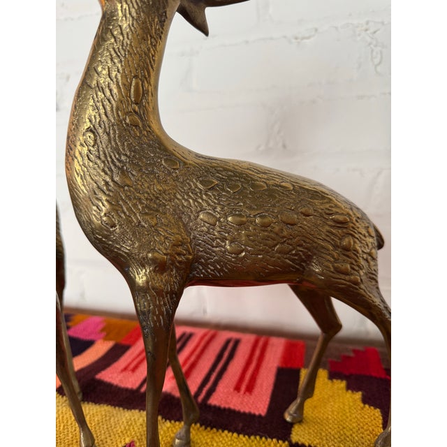 1960s Mid 20th Century Hollywood Regency Large Brass Deer Sculptures - Set of 2 For Sale - Image 5 of 7
