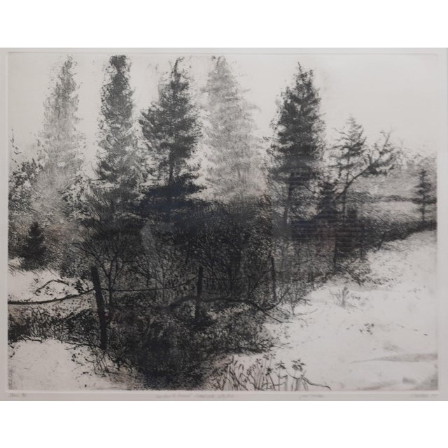 Teri Malo - God Bless the Ground! I Shall Walk Softly There, 1979, Soft-Ground Etching For Sale - Image 4 of 4