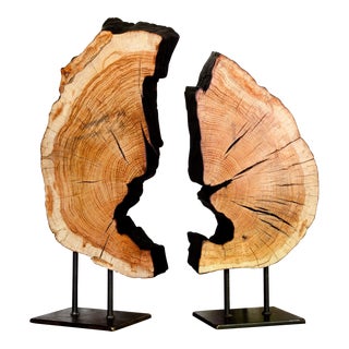Contemporary Indra Collection Yakisugi Modern Organic Wood Sculpture - Set of 2 For Sale