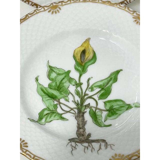 Flora Danica Porcelain Bread and Butter Plates by Bing & Grøndahl, Denmark, 1927, Set of 5 For Sale - Image 6 of 14