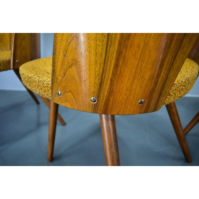 Dining Chairs in Walnut Finish by Antonin Suman, Czechoslovakia, 1960s, Set of 4 For Sale - Image 14 of 18