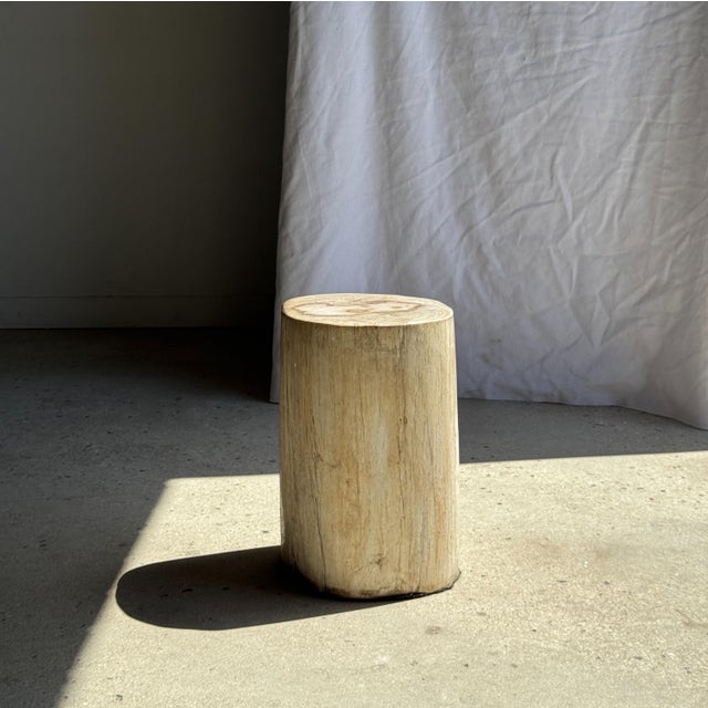Oval White Petrified Wood Side Table, 1980s For Sale - Image 10 of 18