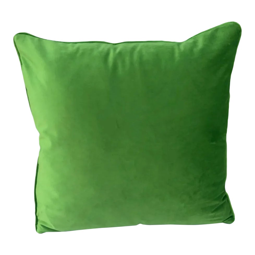 Contemporary Velvet Apple Green Pillow Cover Chairish