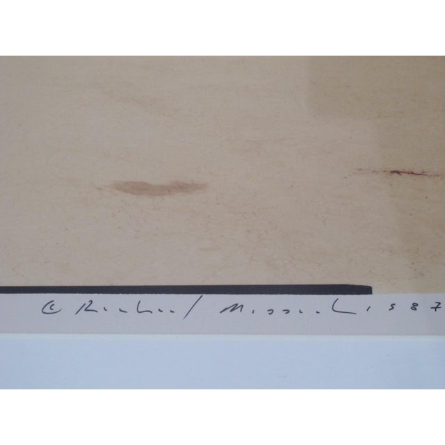Richard Misrach Signed Limited Edition Burning Man Photograph Desert Croquet #3 For Sale - Image 9 of 12