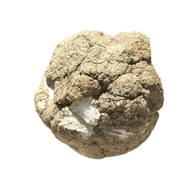 Large Natural Split Pair Crystal Quartz Geode #1 For Sale In Tampa - Image 6 of 12