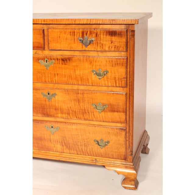 American Chippendale Tiger Maple Chest of Drawers For Sale In Los Angeles - Image 6 of 11