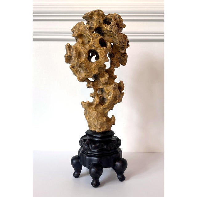 Chinese Yellow Scholar Taihu Stone on Wood Stand For Sale - Image 4 of 13