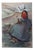 Jacques Wely, Heathland Flower, 1897, Lithograph For Sale