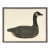 Framed Early 20th Century American Canada Goose Decoy For Sale
