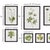These traditional botanical foliage study prints are a study of foliage that, s vibrant green, complemented with a black...