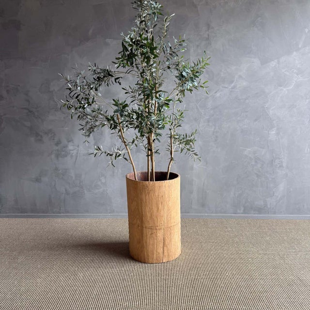 This unique planter brings a touch of rustic charm and natural beauty to any outdoor space. The weathered wood and natural...