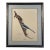 Richard Evans Younger Signed Print – Scrub Jay, 1973 For Sale