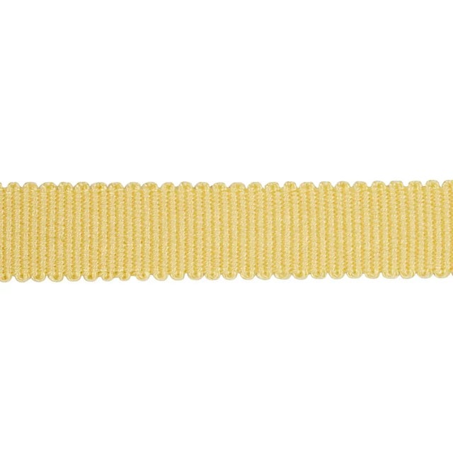 Not Yet Made - Made To Order Sample - Schumacher x Marie-Chantal Harry Cotton Gimp Tape in Yellow For Sale - Image 5 of 5