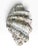 1990s Vintage Natural Giant Clam Shell – 11.5” Scalloped Coastal Specimen Bowl For Sale - Image 5 of 7