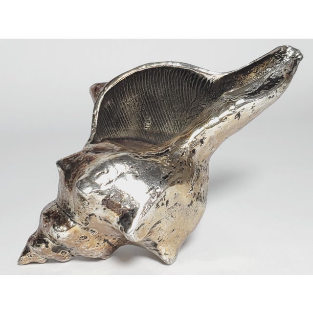 Metal Real Shell Seashell Silver Alloy Dipped For Sale - Image 7 of 8