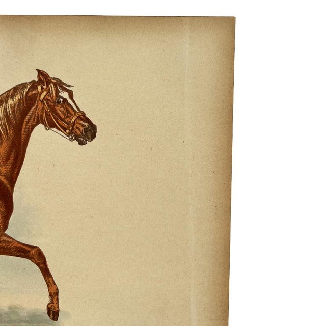 Antique Lithograph “George Frederick” With Lineage Chart, 19th Century For Sale - Image 4 of 9