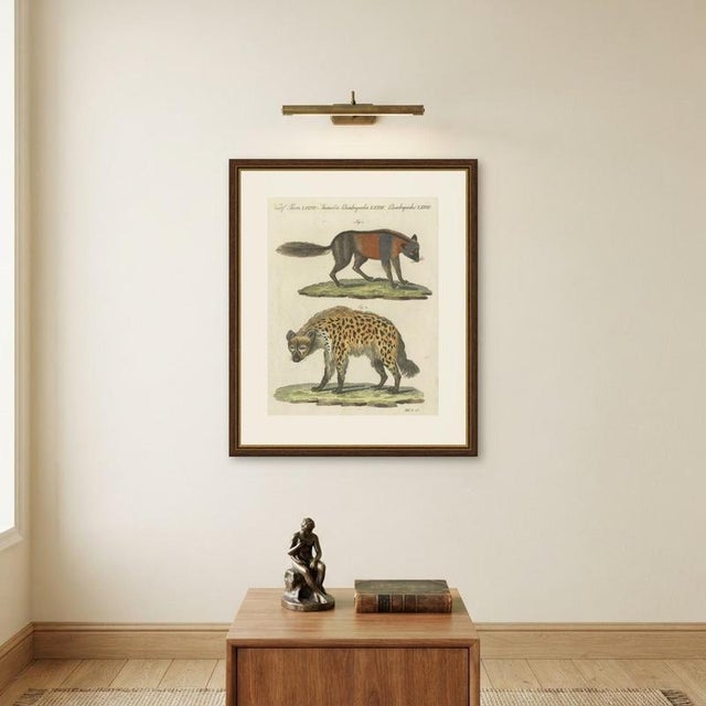 Bertuch, Cross Fox and Spotted Hyena, 1812, Print For Sale - Image 10 of 12