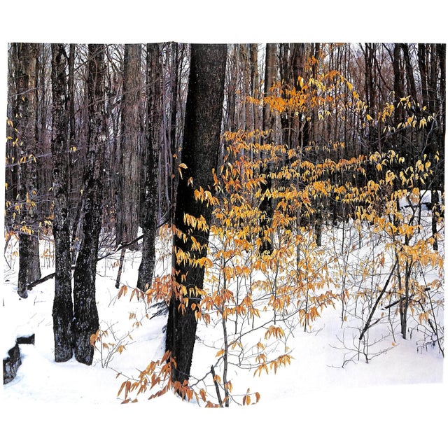 "Forever Wild: The Adirondacks" 1966 Porter, Eliot For Sale - Image 10 of 12