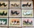Authentic Collection of 19th Century Kramer Chicken Chromolithographs in Color For Sale - Image 9 of 9