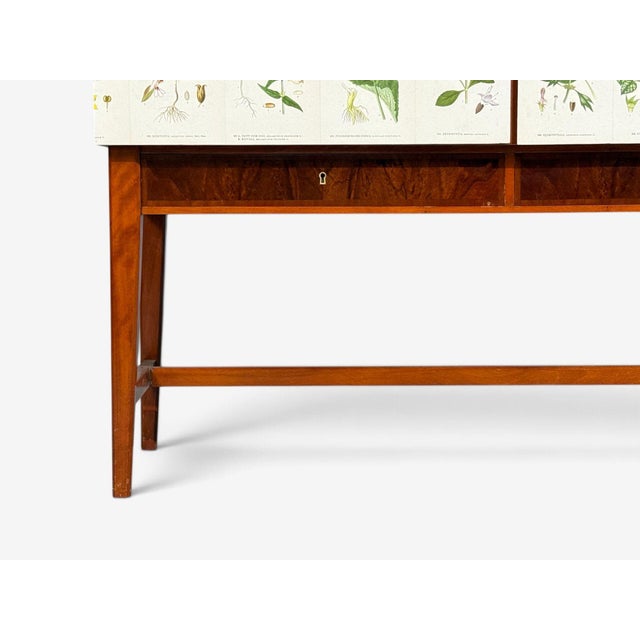 Swedish Modern, Nordens Flora Cabinet, Birch, Floral Lithographs, Sweden, 1940s For Sale - Image 9 of 16