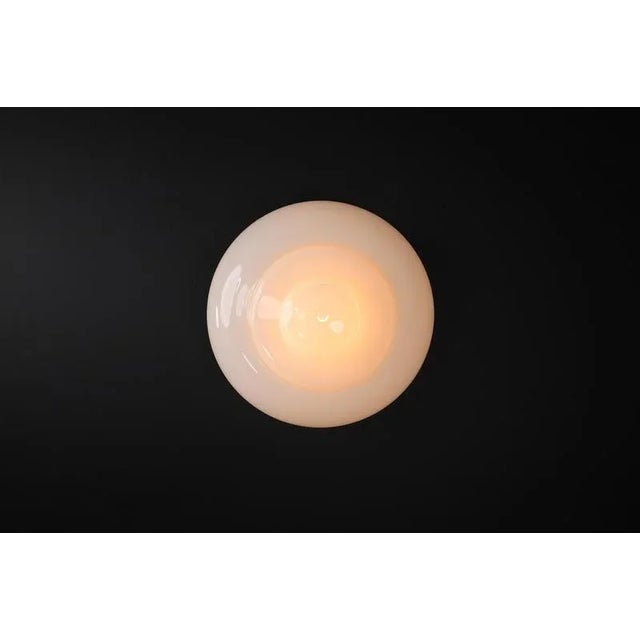 Murano Glass Wall Light in Hand-Blown Glass, Italy, 1960s For Sale - Image 16 of 18