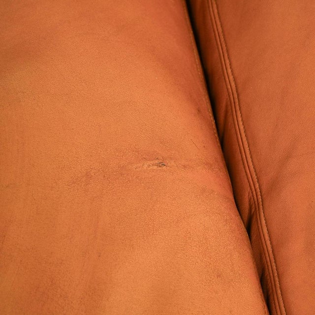 Cocker Leather Sofa by Franco Bresciani for Poltrona Frau, 1970s For Sale - Image 14 of 16