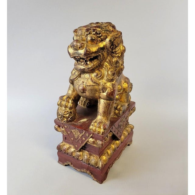 Early Giltwood Chinese Guardian Lion Foo Dog Architectural Carving – 12" High For Sale - Image 12 of 12