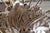 1970s Italian 18-Light Carved Wood & Gilt Metal Chandelier For Sale - Image 13 of 18