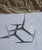 Small TRIPOD coffee table designed by Knut Hesterberg. This model is made of polished aluminum. The 20mm glass top has a...