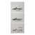 Mid 19th Century Us Pacifc Railroad Fish Lithograph Book Plate - Set of 3 For Sale