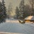 20th Century Oil on Canvas European School by Polish Artist Signed Framed Depicting Wooded Countryside For Sale In Washington DC - Image 6 of 12