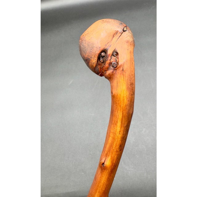 Antique Irish Blackthorn Burled Wood Shillelagh For Sale In New York - Image 6 of 15