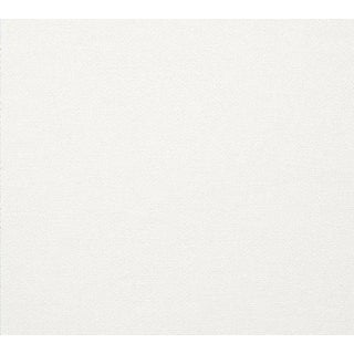 Schumacher Camarillo Weave Indoor & Outdoor Fabric in Ivory For Sale