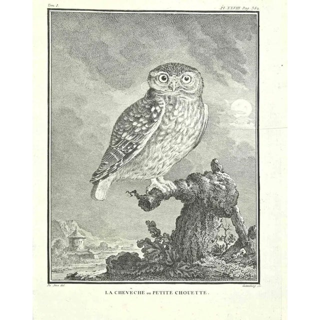 La Cheveche on Petite Choutte is an Etching Realized by Carl Guttenberg in 1771. The Artwork Belongs to the Suite...