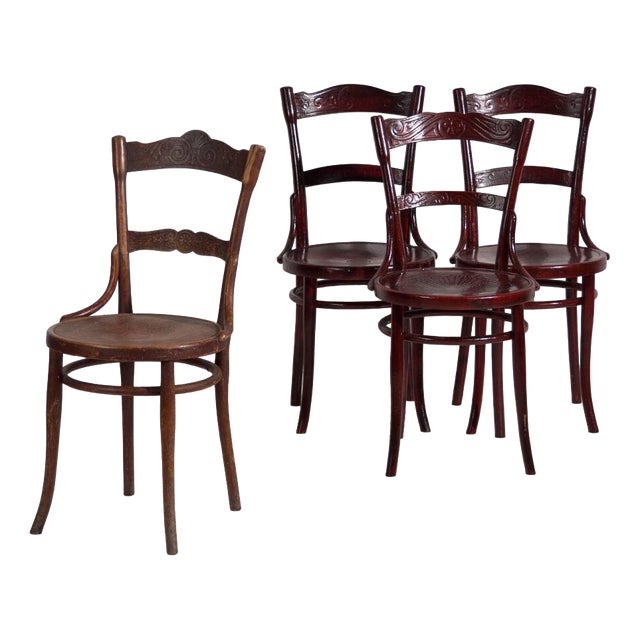 Antique Bentwood Chairs, Central Europe, 1900s, Set of 4 For Sale