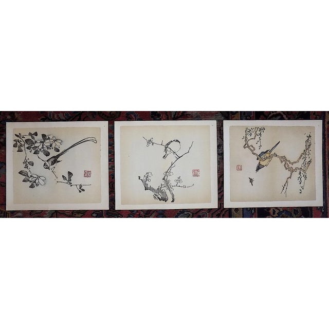 Vintage Signed Chinese Botanical Color Lithographs - Set of 3 For Sale - Image 9 of 9