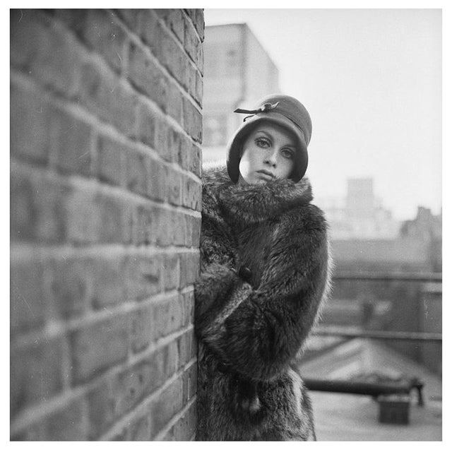 'Twiggy' Unframed Archival Pigment Print For Sale